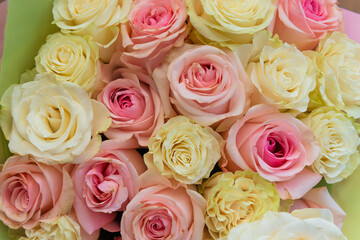 pink roses.