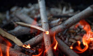 Close-up burning woods and flames