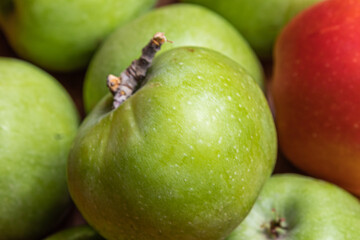 Organic apples from the gardens