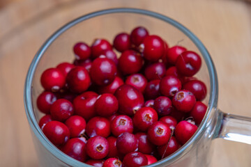 Natural healthy cranberries from the forest