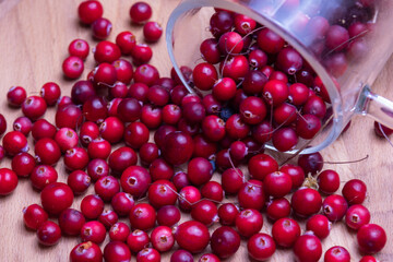 Natural healthy cranberries from the forest