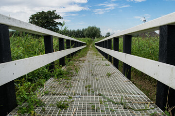 bridge in the fields