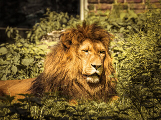 Tierportraits © Michael