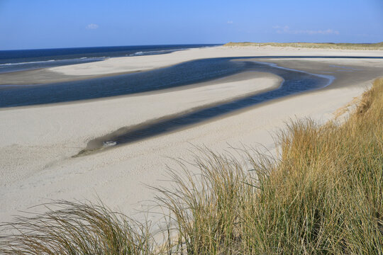 De Slufter on Texel island, Netherlands