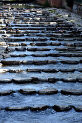 Fischtreppe in der Dreisam in Freiburg