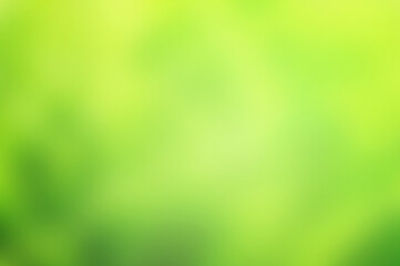 Fototapeta na wymiar Green natural gradient background, Abstract green blurred background with bright sunlight.