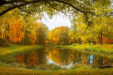 Zelfklevend Fotobehang autumn landscape in park Tsaritsyno in Moscow, Russia © irisphoto1