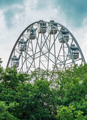 Ferris wheel in the park