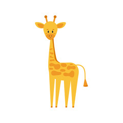 Obraz premium Cute little giraffe in standing pose isolated on white background. Funny smiling african giraffe animal logo. Vector flat design cartoon safari character illustration.
