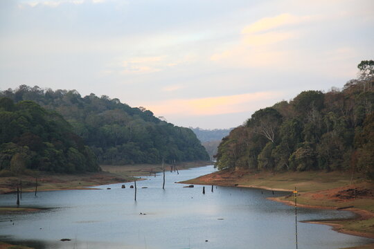 Scenic View of Periyar lake and Wildlife Sanctuary under sunrise in Thekkady, Kerala, India