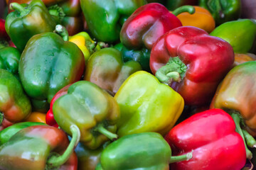 red and green bell peppers - 378981968