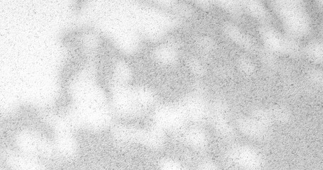 Abstract Shadow. blurred background. gray leaves that reflect concrete walls on a white wall surface for blurred backgrounds and monochrome wallpapers.