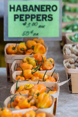 Hot peppers at a farmer's market - 378982902