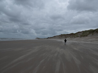 person walking on the beach in a storm