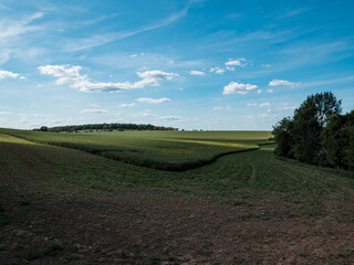 landscape with field and sky