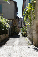 Fototapeta na wymiar Dordogne-0908