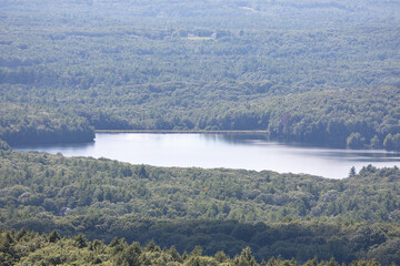 Landscape of a forest with a beautiful river