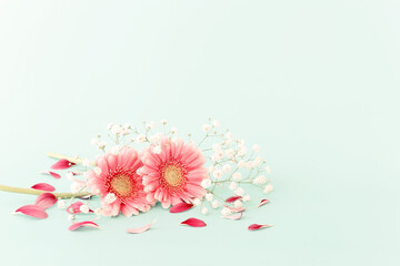 spring bouquet of pink and white flowers over pastel mint background