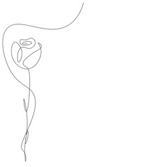 Rose flower line drawing. Vector illustration