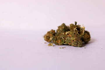 COGOLLOS DE CANNABIS, MARIHUANA.