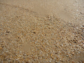 Fototapeta na wymiar fondo de textura de arena mojada 
