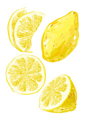 Set of lemon in different variations