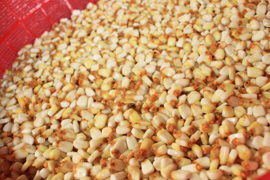 Nixtamal 1