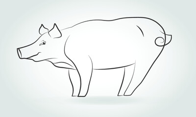 Cute pig standing on his feet. Vector illustration
