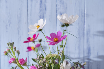 Close-up of multicolored wildflowers standing in a white vase against a blue wall   