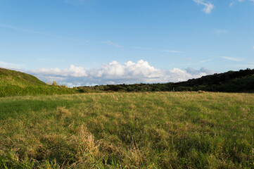 快晴の空と黄色がかった緑の草原