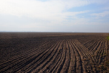 A freshly plowed farm field. Cultivated agricultural land. Landscape.