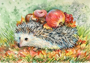 Watercolor hedgehog carries an apple with a mushrooms and leaves on his back. Design element. Copy space.