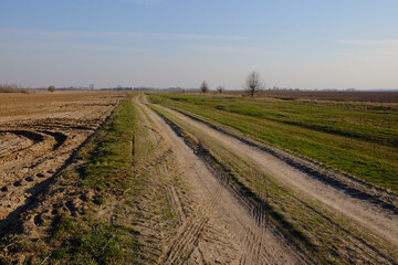 Fototapeta na wymiar A narrow dirt road in an evening field. Clear blue sky over the field.