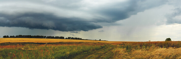Fototapeta premium Summer cloudy panoramic landscape with rural road passing through meadows and fields.