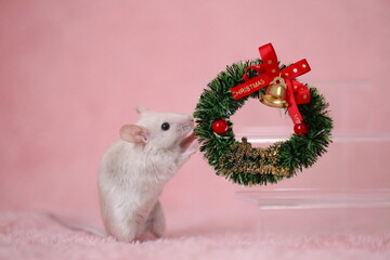 クリスマスリースの飾り付けをしているハツカネズミ
