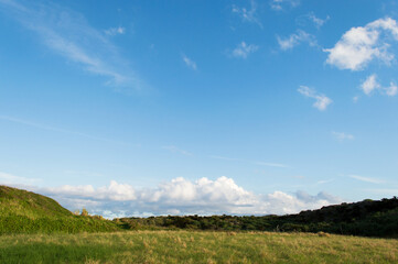 Fototapeta premium 快晴の空と黄色がかった緑の草原