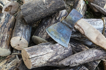 Old axe on a sawn tree.