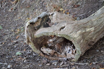 Thale - Hexentanzplatz