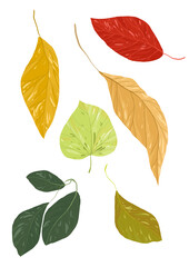 Set of autumn leaves in different colors and sizes