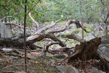 Thale - Hexentanzplatz