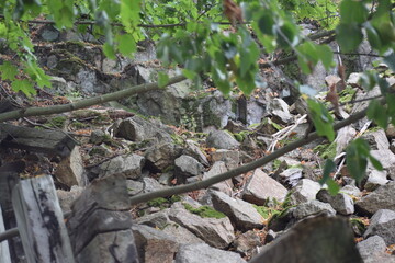 Thale - Hexentanzplatz
