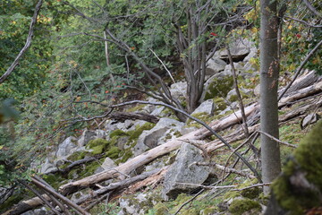 Thale - Hexentanzplatz