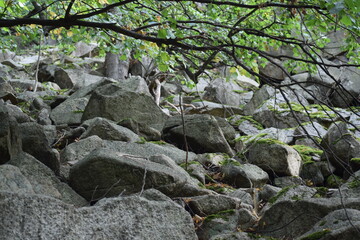 Thale - Hexentanzplatz