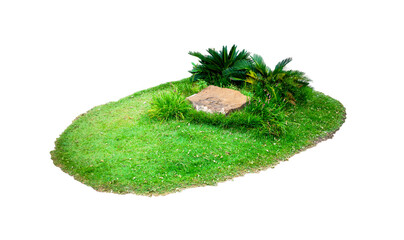 Natural Green grass and green leaves and stone in garden isolated on white background. File...