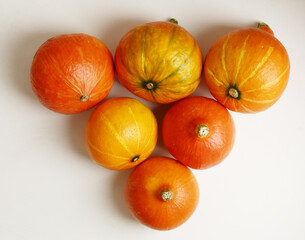 small pumpkin still life halloween closeup photo