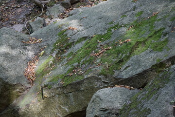 Thale - Hexentanzplatz