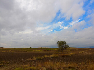 krajobraz pola zaorane drzewo niebo błękit chmury