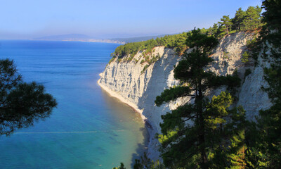 Photo landscape of rocks with trees the sea