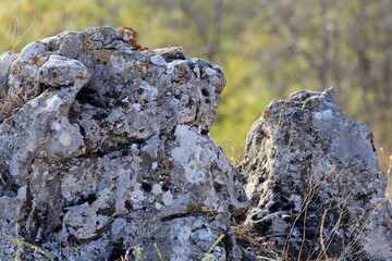 The picturesque rocks near the village of Slynchevo (Bulgaria)