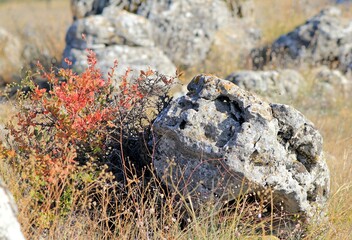 The picturesque rocks near the village of Slynchevo (Bulgaria)